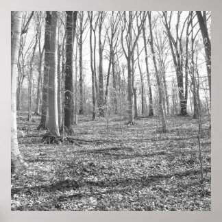 Poster Parc national de Ridley Creek