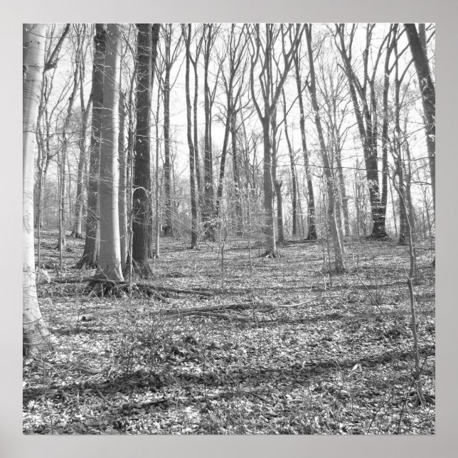 Poster Parc national de Ridley Creek (Devant)