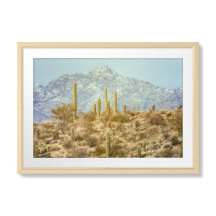 Parc national de Saguaro