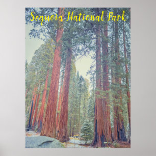 Poster Parc national de Sequoia