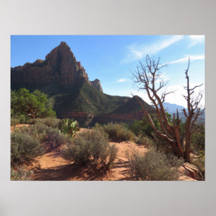 Poster Parc national de Zion