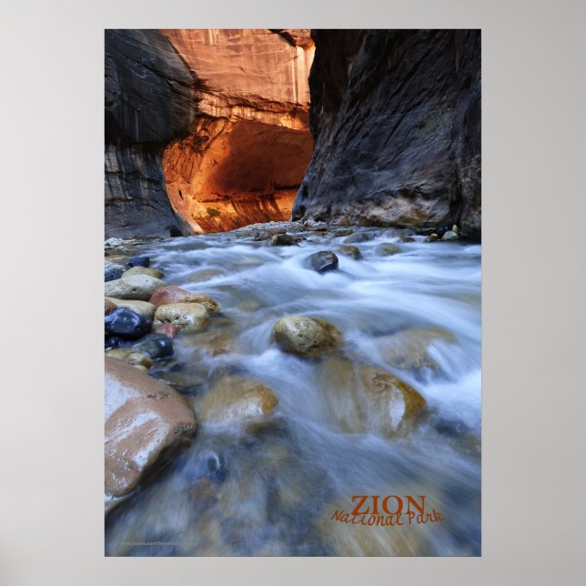 Poster Parc national de Zion Narrows Matte (Devant)