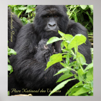 Poster Parc National des Volcans, Kwitonda G...