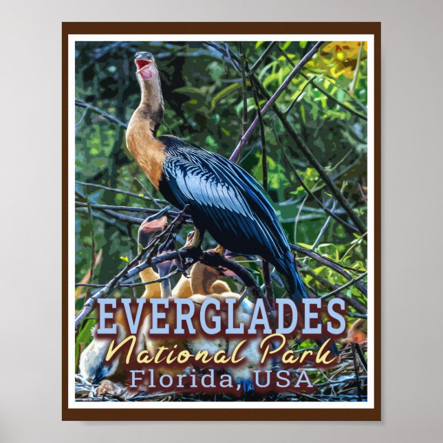 POSTER PARC NATIONAL D'EVERGLADES - FLORIDE ÉTATS-UNIS (Devant)