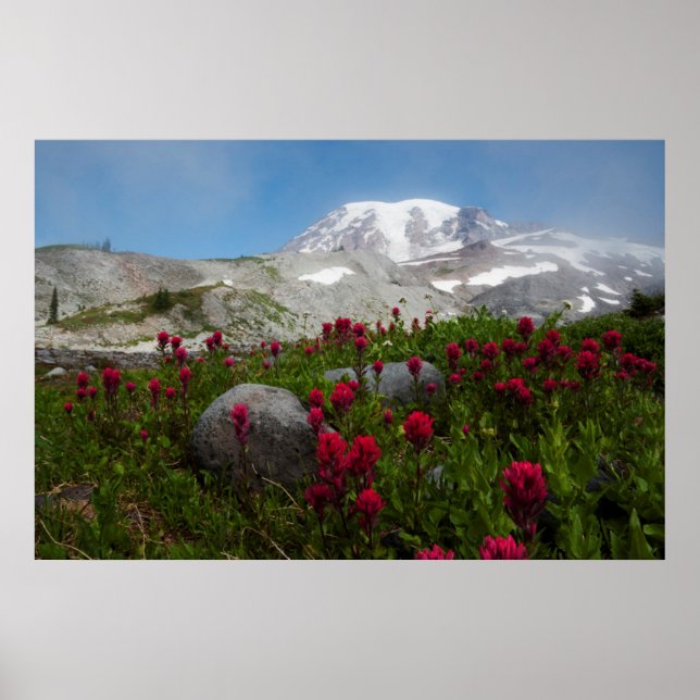 Poster Parc national du Mont Rainier, Mont Rainier 1 (Devant)