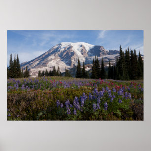 Poster Parc national du mont Rainier, Mont Rainier 3