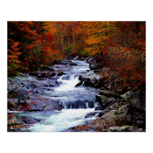 Poster Parc national Great Smoky