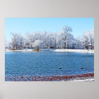 PARC OLANDER "HIVER BLANC" ET LAC/NEIGE COUVERT