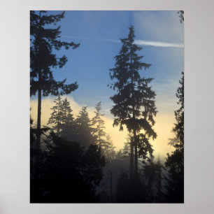 Poster Parc Stanley, bois, brouillard de couche marine qu