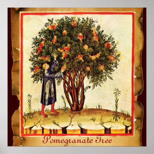 POSTER PARCHEMENT ANTICIPÉ D'ARBRE POMÉGRANÉ