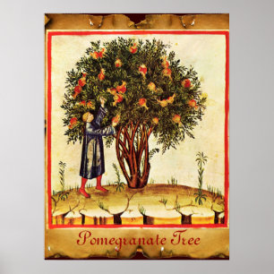 POSTER PARCHEMENT ANTICIPÉ D'ARBRE POMÉGRANÉ