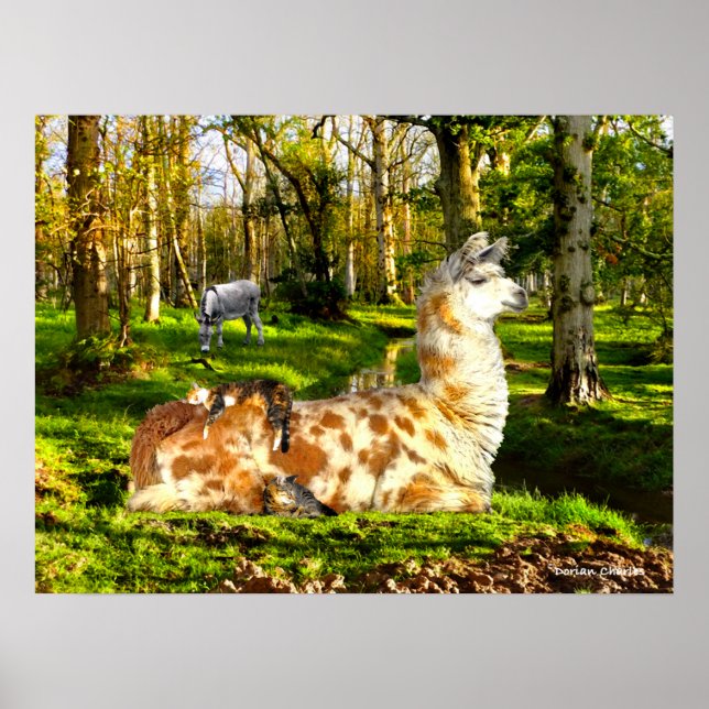 Poster "Parfait dimanche après-midi" (Devant)