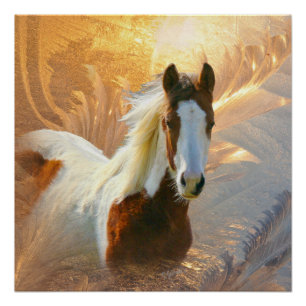 Poster parfait Paint Horse Gold