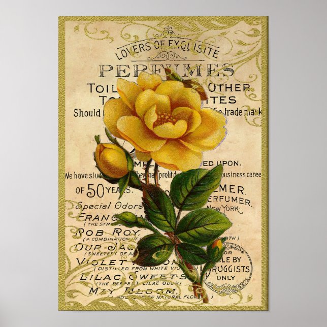 Poster Parfum de roses jaunes antiques (Devant)