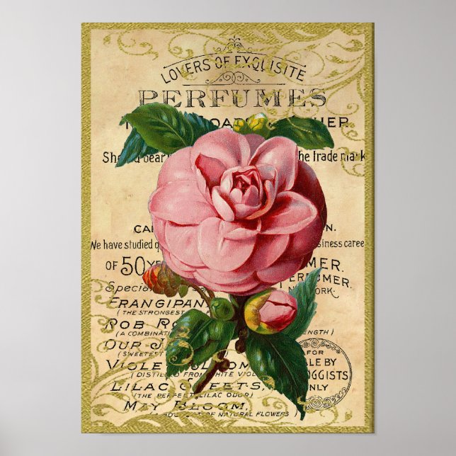 Poster Parfum Rose antique (Devant)