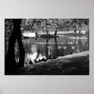 Poster Park Life wapcn