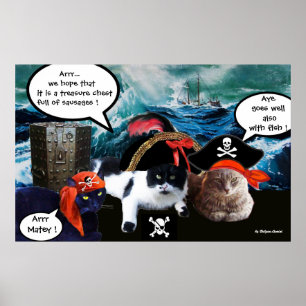 POSTER PARLER DE CHATS DE PIRATE ET NAVIRE DANS LA TEMPÊT
