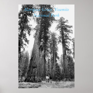 Poster Parmi l'affiche de Giants