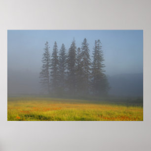 Poster Parmi Le Brouillard