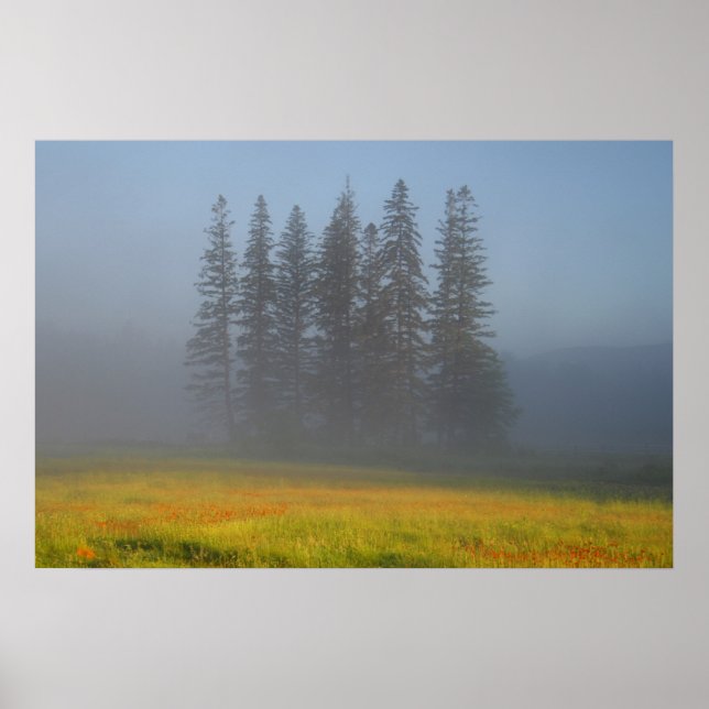 Poster Parmi Le Brouillard (Devant)