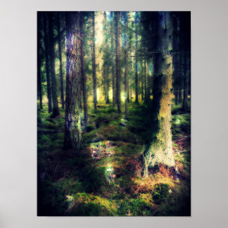 Poster Parmi Les Fées