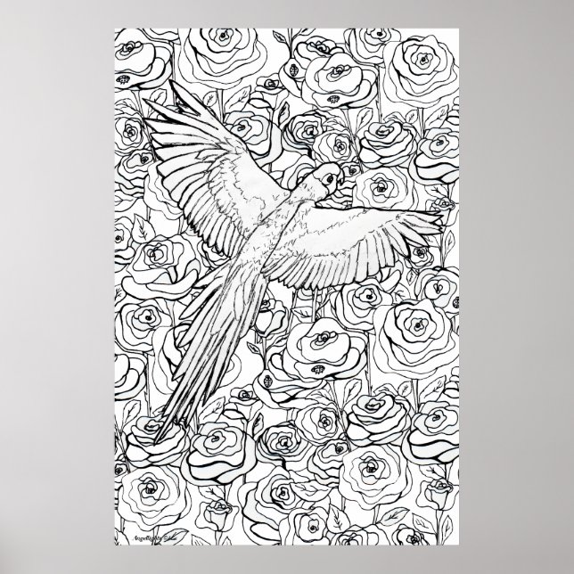 Poster Parrot Clarity (Devant)