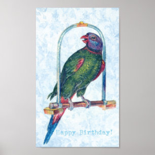 Poster Parrot d'anniversaire