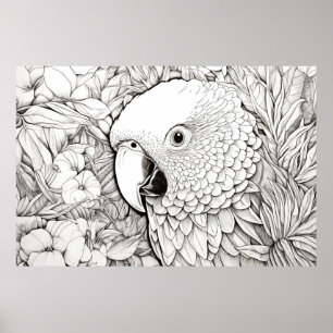 Poster Parrot Nature paisible Prairie Croquis dessin Art