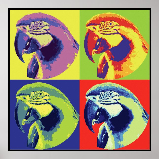 Poster Parrotheads (Devant)