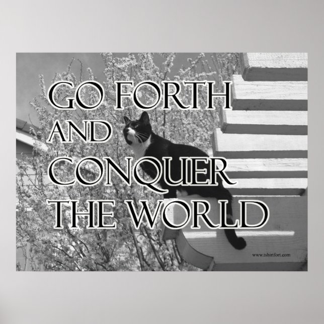 Poster Partez en avant et conquérir le chat motivationnel (Devant)