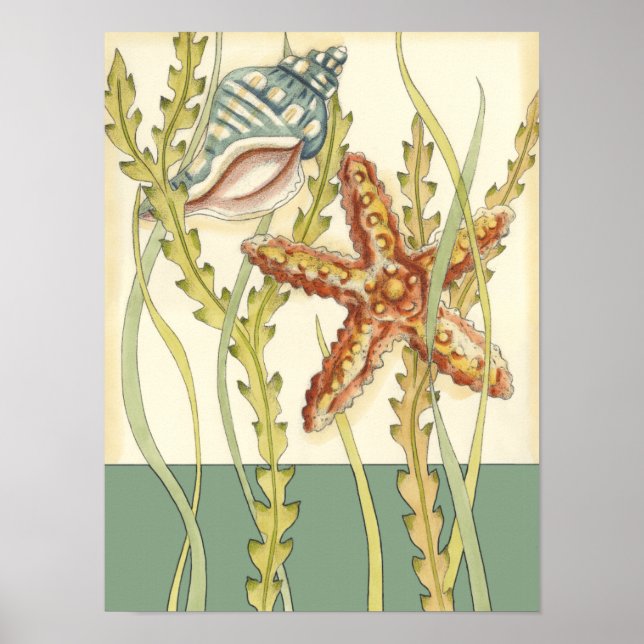 Poster Partie Shell multicolore (Devant)