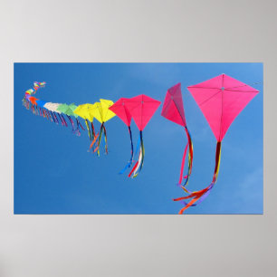 Poster Partons mouche un cerf-volant !