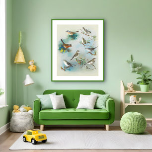 Poster Paruline et Wrens,