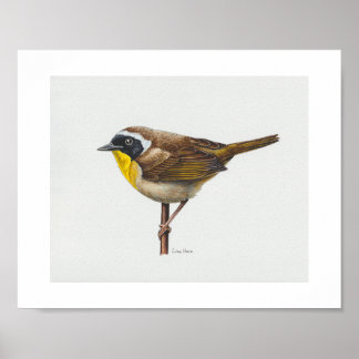 Poster Paruline jaune ordinaire Imprimer