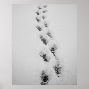 Poster pas dans la neige