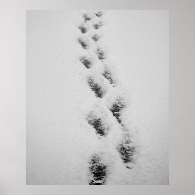 Poster pas dans la neige (Devant)
