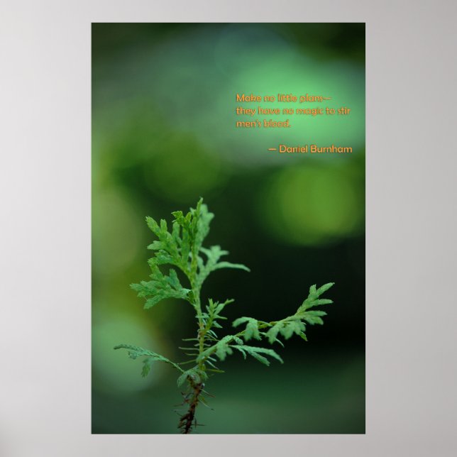 Poster Pas de petits plans (Devant)