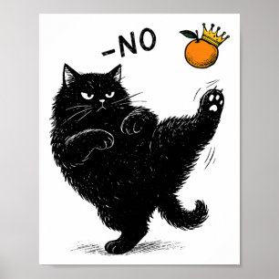 Poster Pas De Rois En Amérique Chat Noir Drôle Mème Polit