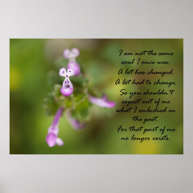 Poster Pas la même âme (Devant)