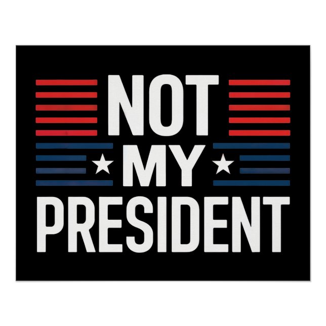 Poster Pas Mon Président (Devant)