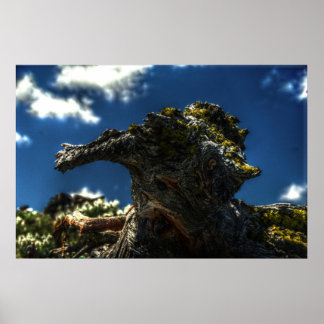 Poster Pas une chèvre