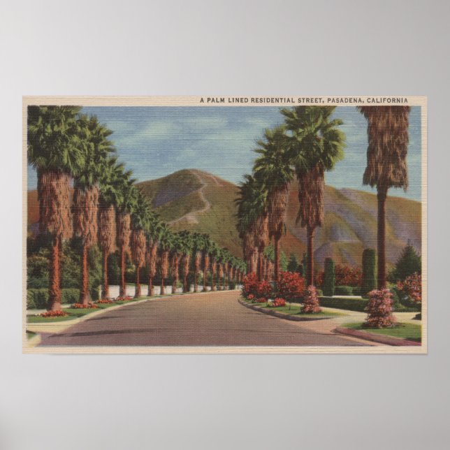 Poster Pasadena, CA - Scène de rue résidentielle & Palms (Devant)