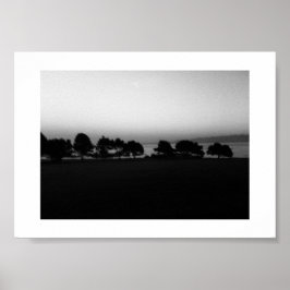 Poster Passage d'Arbres Canada Photographie noir et blanc