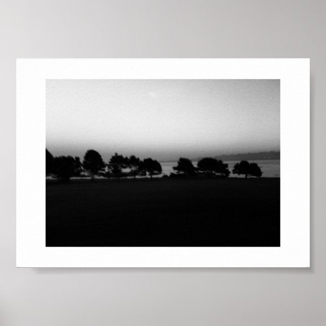 Poster Passage d'Arbres Canada Photographie noir et blanc (Devant)