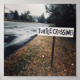 Poster passage des tortues