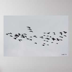 Poster Passage par 1