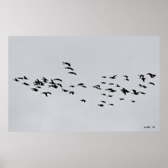 Poster Passage par 1 (Devant)