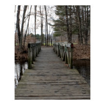 Passerelle en bois