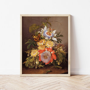 Poster Passionfleurs   Ferdinand Bauer