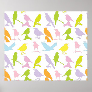 Poster Pastel Coloured Variété d'oiseaux Motif